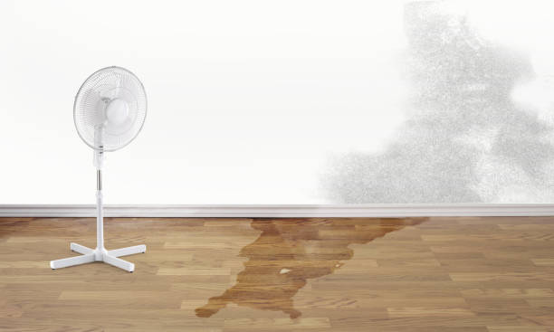 Best Professional water damage repair  in Highland On The Lake, NY