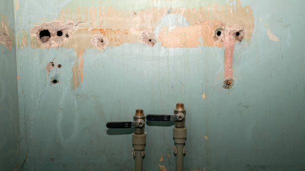 Best Flood restoration services  in Highland On The Lake, NY